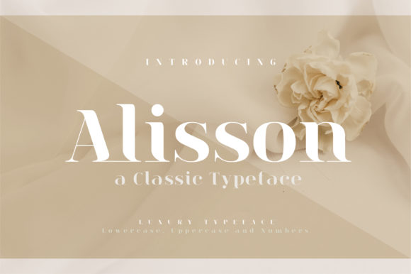 Alisson: A Classic Serif Font for Elegant Web Design