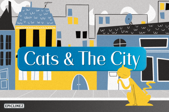 Cats and the City: A Perfect Font for Elegant Publishing