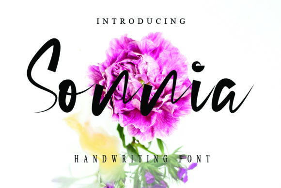 Discover the Charm of Sonnia: A Handwritten Font for Makers